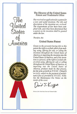 whats4_us_patent1